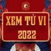 Tuvi2022phongthuysovn