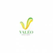 valeodamsenvn