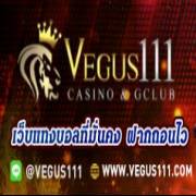 vegusss111