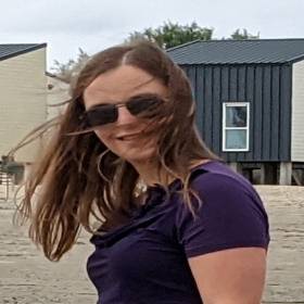 Vickyliesens