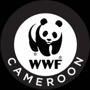 wwfcameroon