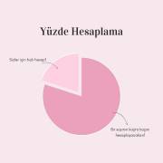 yuzdehesaplama