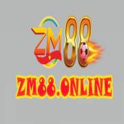 zm88online